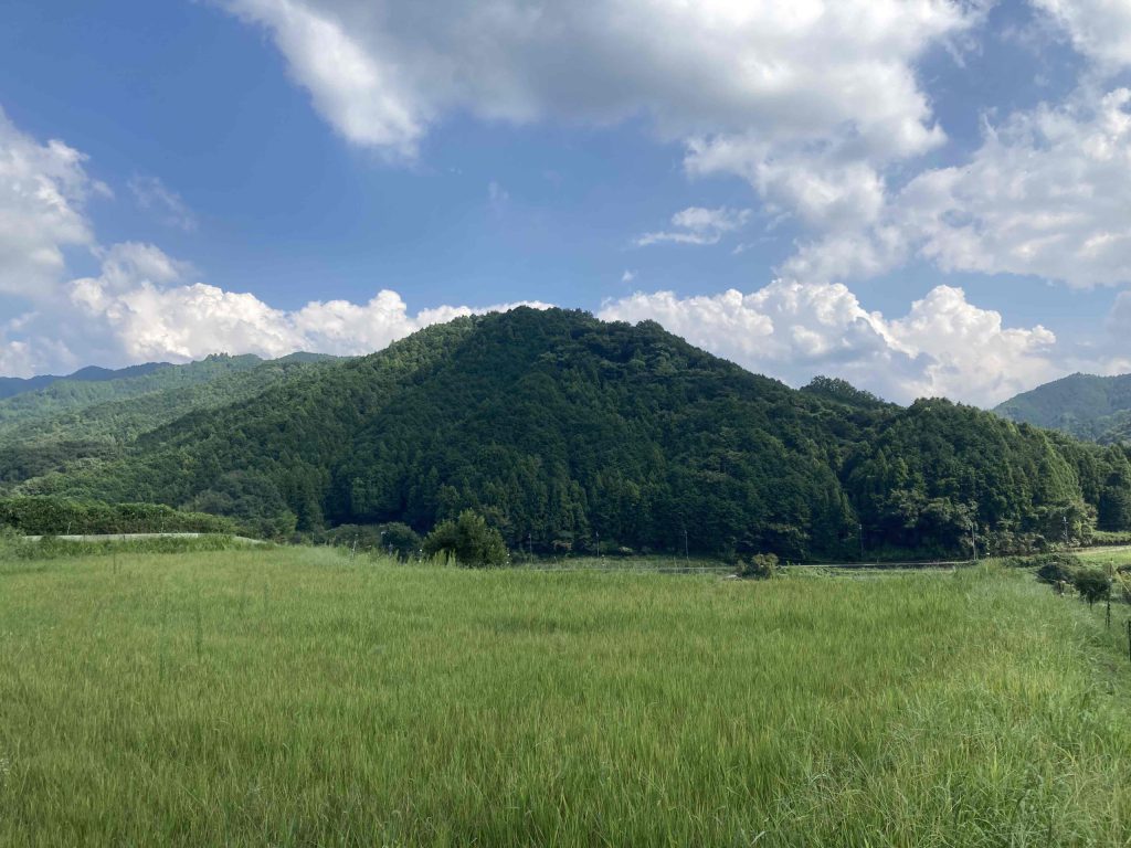 南渕山（棚田辺りの農面道路から）